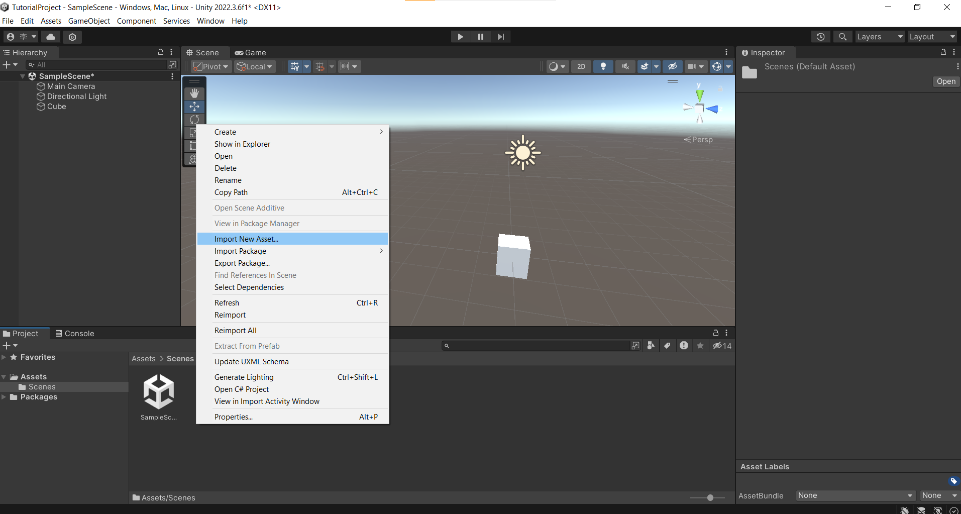 Import New Asset